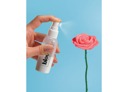 Play-Doh Blooms Wildflower Petite Bouquet Kit with spray bottle and pink rose flower against blue background