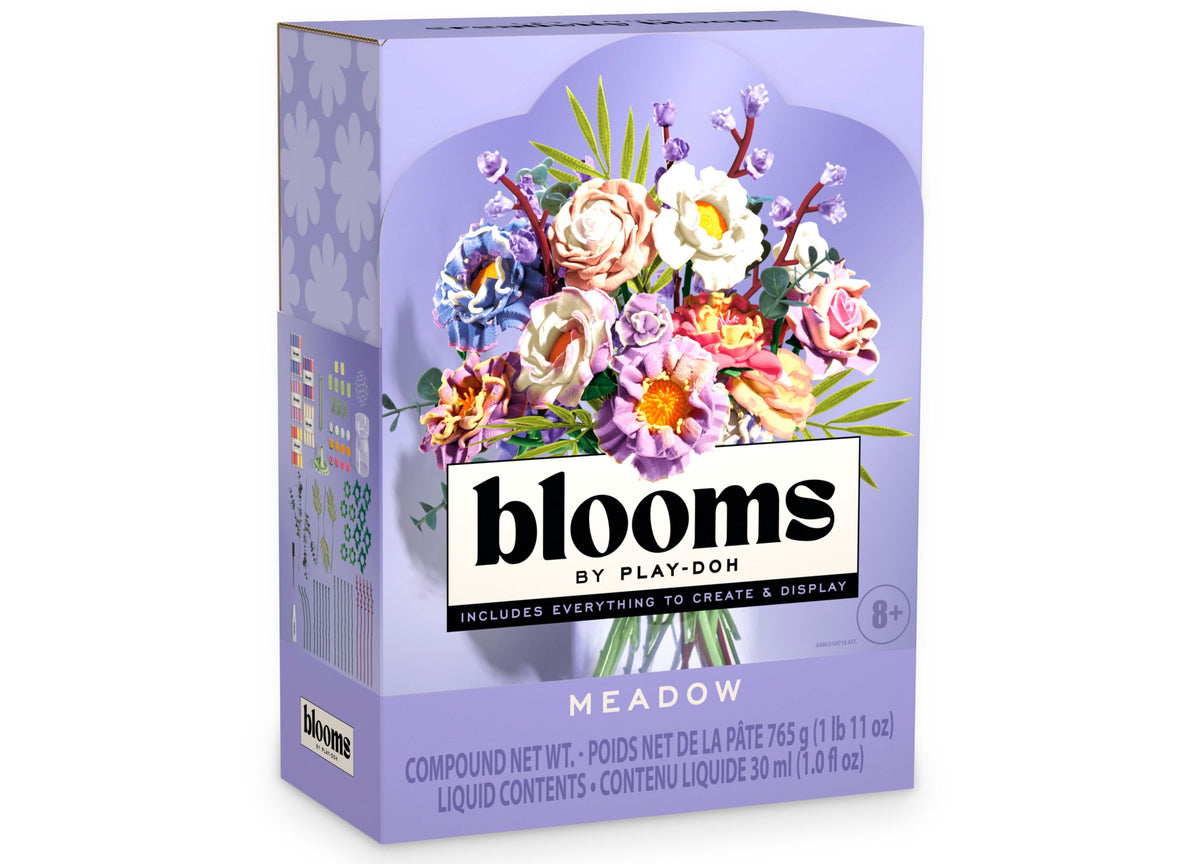 Play-Doh Blooms Meadow Bouquet Flower-Making Kit with colorful molded flowers in purple box
