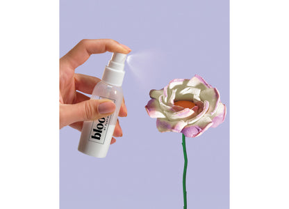 Play-Doh Blooms Meadow Bouquet kit with spray bottle and pink multicolored flower bloom
