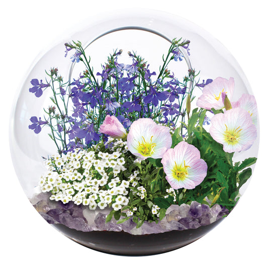 Glass dome terrarium with purple flowers, pink primrose blooms, white daisies, and amethyst crystals at base