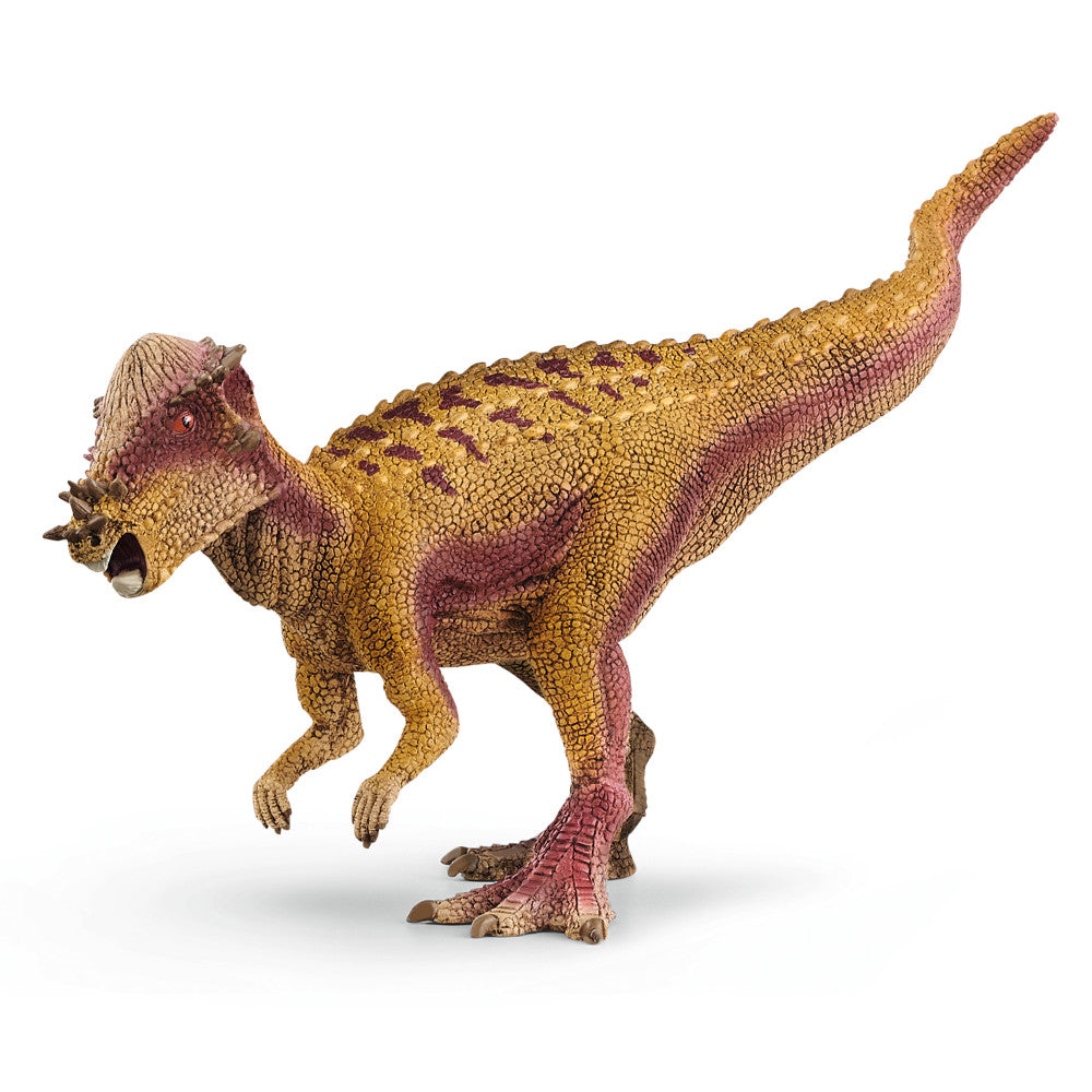 Schleich Pachycephalosaurus dinosaur action figure with golden-yellow and burgundy scaled body, prominent head frill, and raised tail on plain background