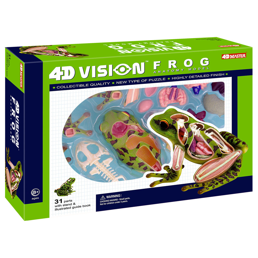 4D Vision Frog Anatomy Model kit box showing green and blue dissected frog model with internal organs, 31 parts, ages 8+