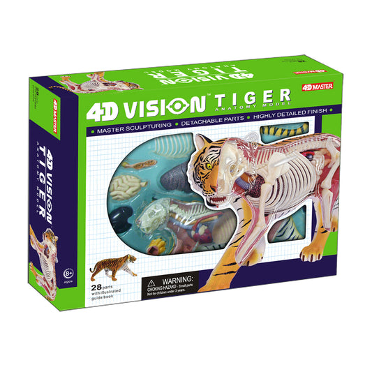 4D Master Tiger Anatomy Model kit box showing transparent tiger torso with internal organs, skeletal structure, and detachable parts on bright green and navy pa