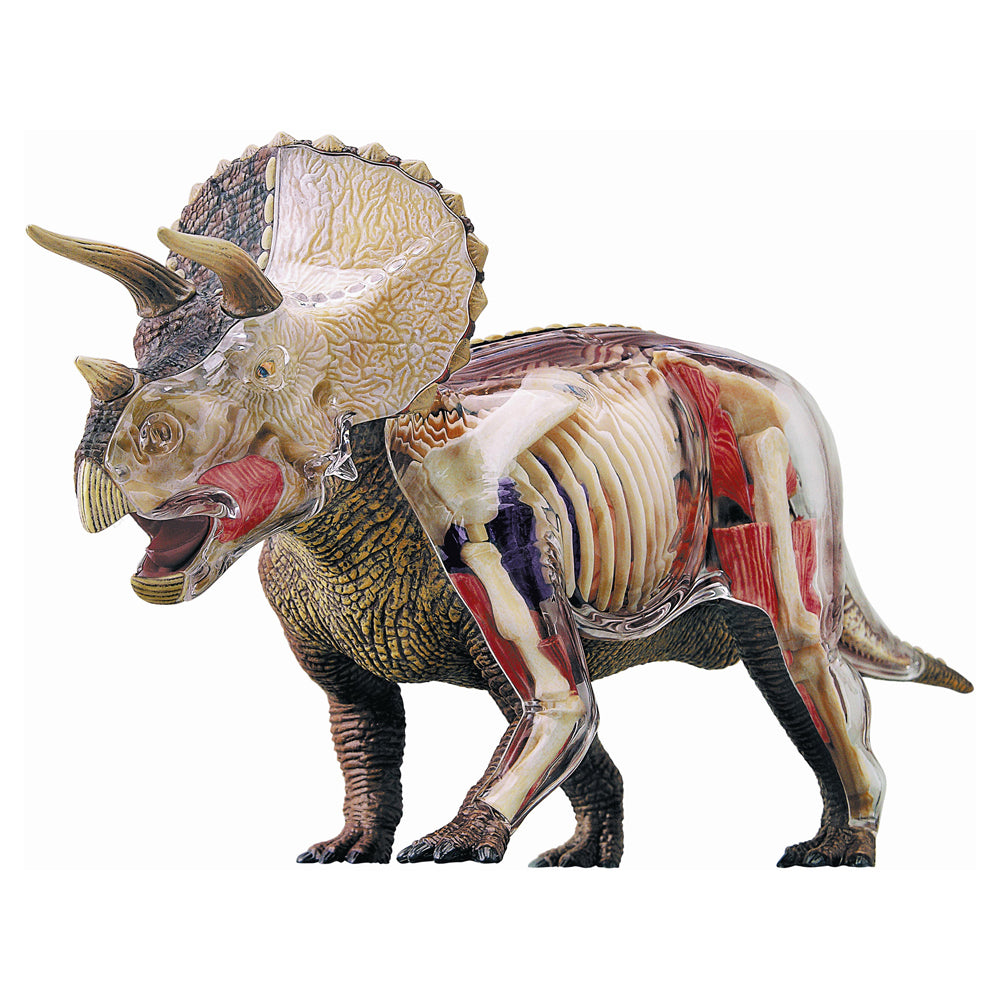 4D Master Triceratops Anatomy Model showing translucent assembled dinosaur with internal organs, skeletal structure, and muscular system visible