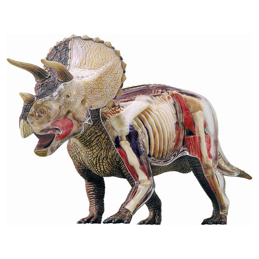 4D Master Triceratops Anatomy Model showing translucent assembled dinosaur with internal organs, skeletal structure, and muscular system visible