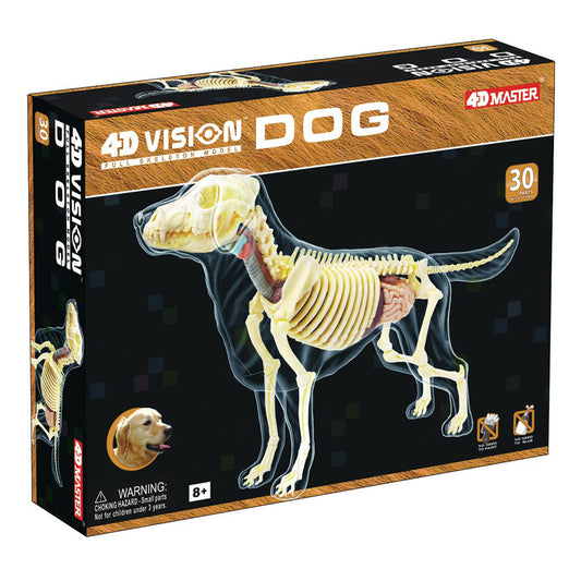 4D Master Vision Full Skeleton Dog Model building kit showing assembled transparent dog skeleton with bones, organs, and anatomical details, 30 parts, ages 8+
