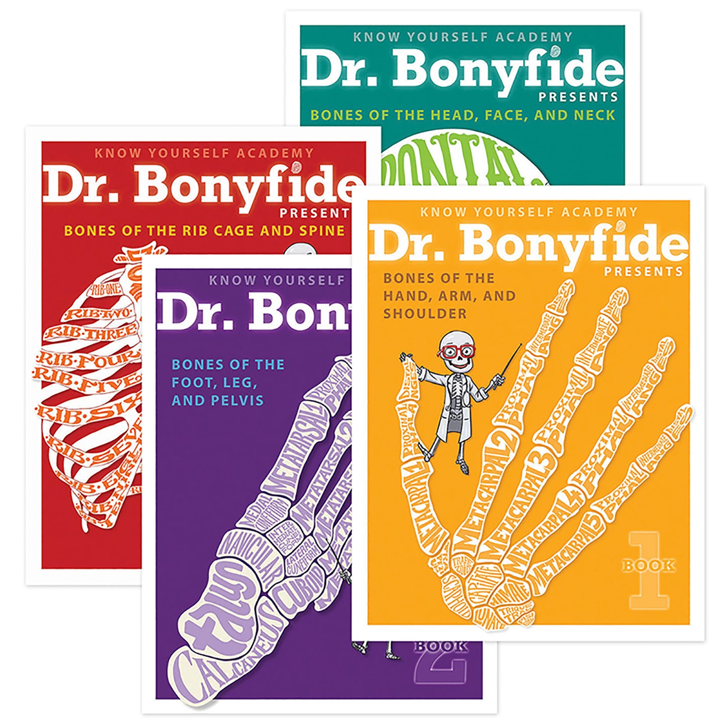 Four Dr. Bonyfide book covers about human skeleton anatomy—red (rib cage and spine), purple (foot, leg, and pelvis), teal (head, face, and neck), and yellow (ha