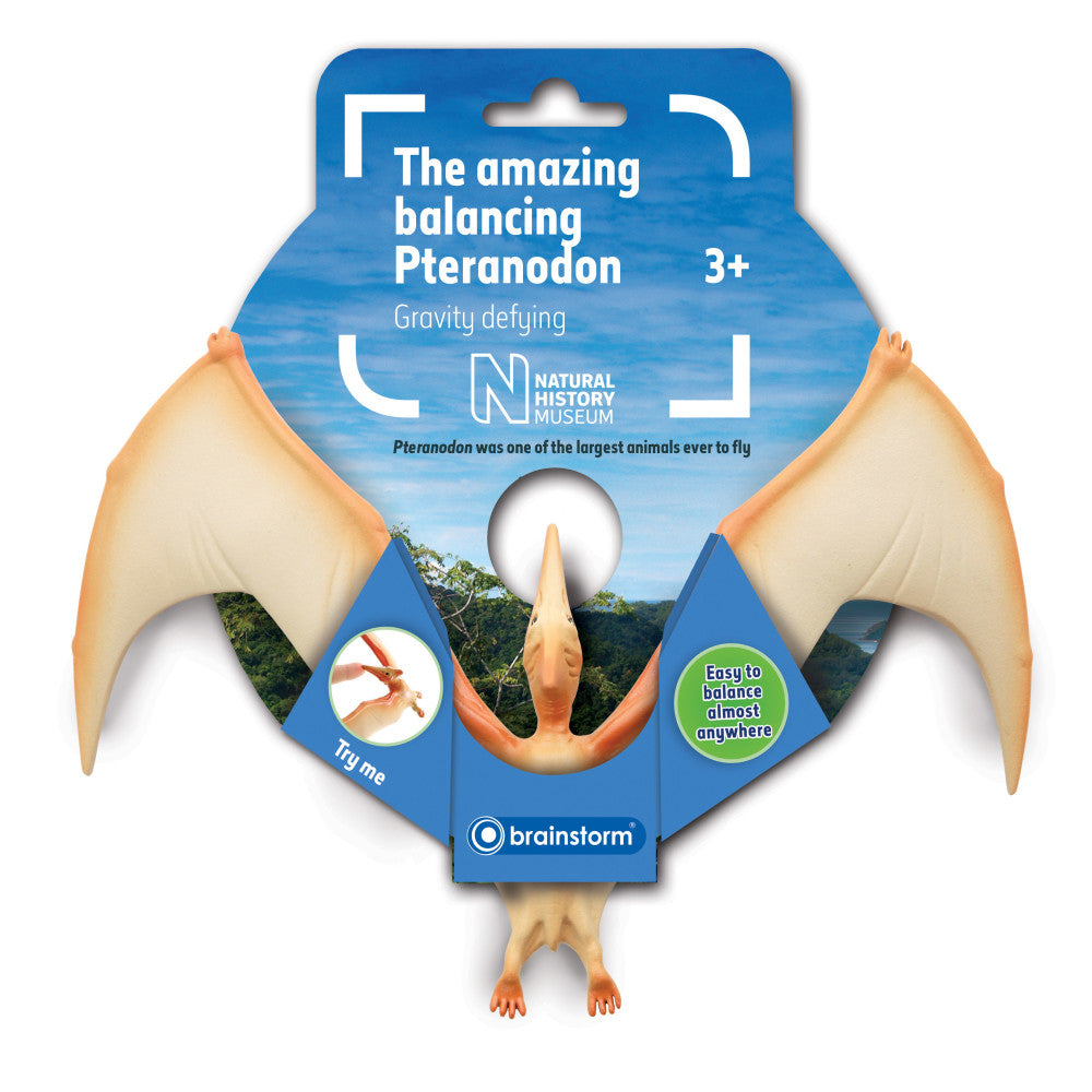 The Amazing Balancing Pteranodon by Brainstorm, a gravity-defying dinosaur toy with tan wings and blue body, shown balanced on its nose with product packaging b