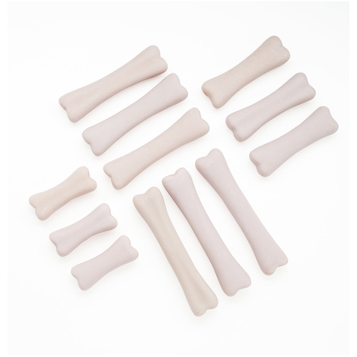 Dinosaur Bones Discovery Set with cream-colored fossil replicas for sensory excavation play