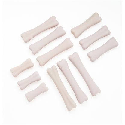 Dinosaur Bones Discovery Set with cream-colored fossil replicas for sensory excavation play