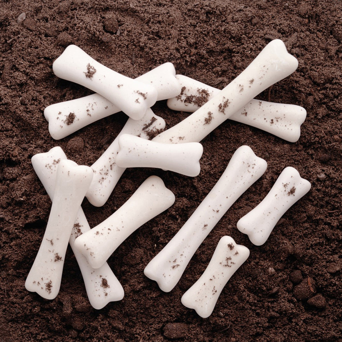Dinosaur Bones Discovery Set white fossil replicas on brown soil excavation toy