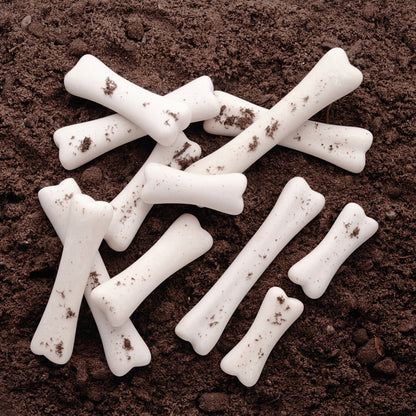 Dinosaur Bones Discovery Set white fossil replicas on brown soil excavation toy