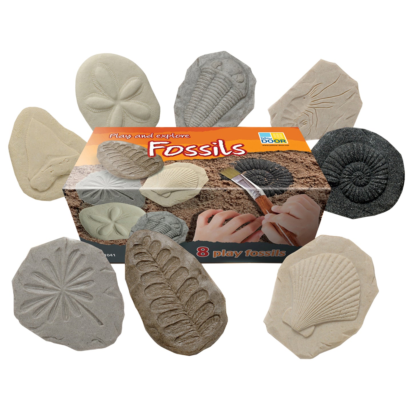 Play and Explore Fossils STEM set with 8 realistic fossil specimens in cream, gray, and black