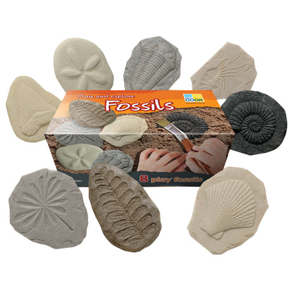 Play and Explore Fossils STEM set with 8 realistic fossil specimens in cream, gray, and black
