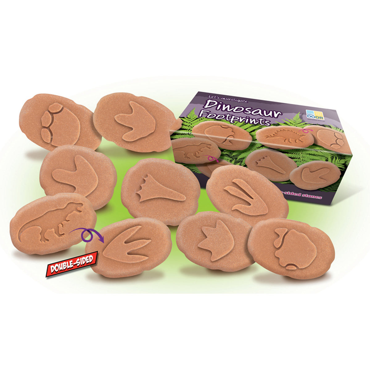 Dinosaur Footprint Fossils Discovery Set with double-sided tan imprint stamps and storage box
