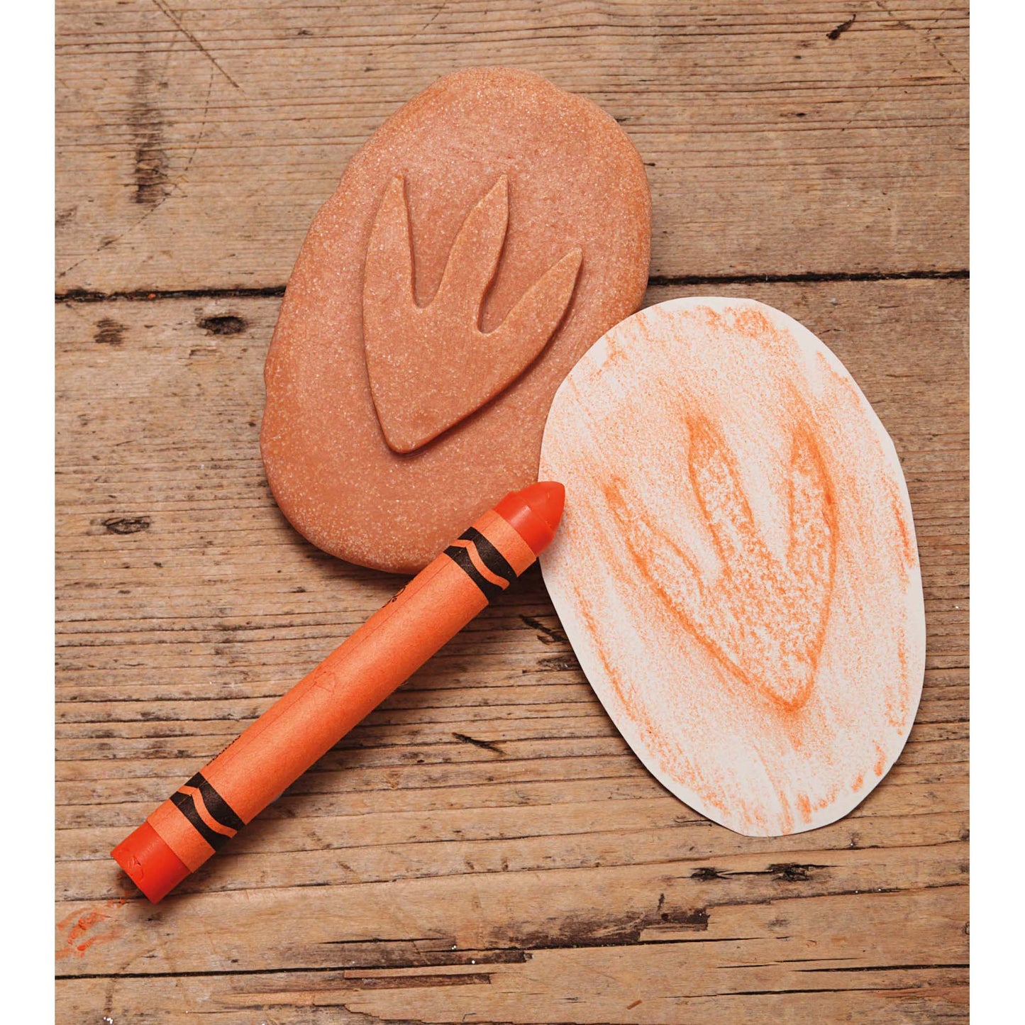 Dinosaur Footprint Fossils Discovery Set with orange crayon and fossil imprints