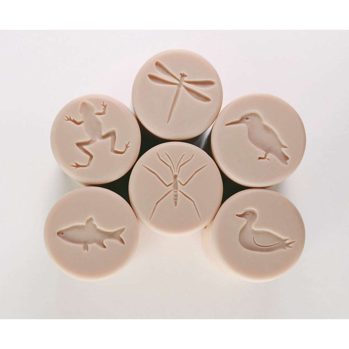 Let's Roll Pond Life 6-Piece Stamper Set with beige rollers featuring dragonfly, frog, duck, fish, mosquito, and jump...
