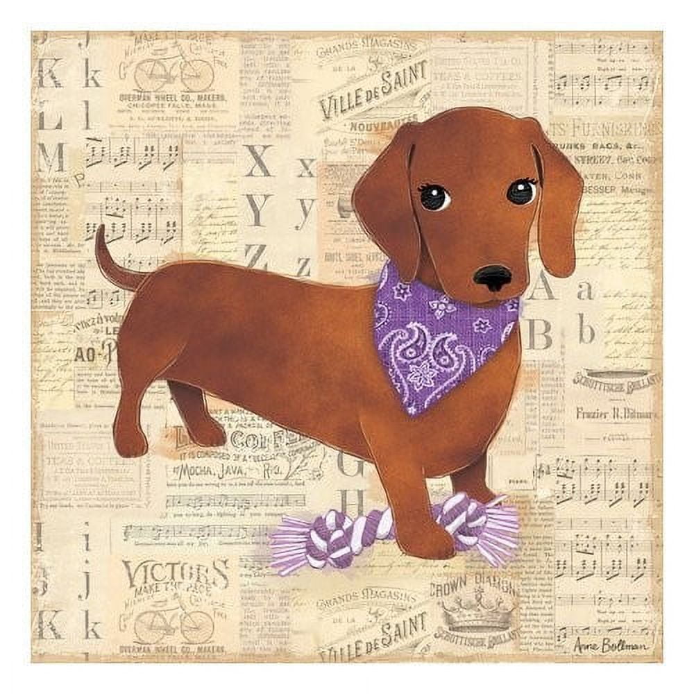 Brown dachshund wearing purple bandana and purple pom-pom booties on vintage sheet music and text background