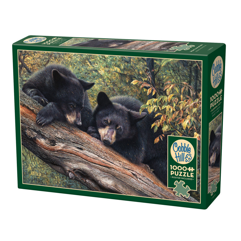 Cobble Hill 1000+ piece jigsaw puzzle box featuring two black bears on a log with green foliage and autumn leaves in background