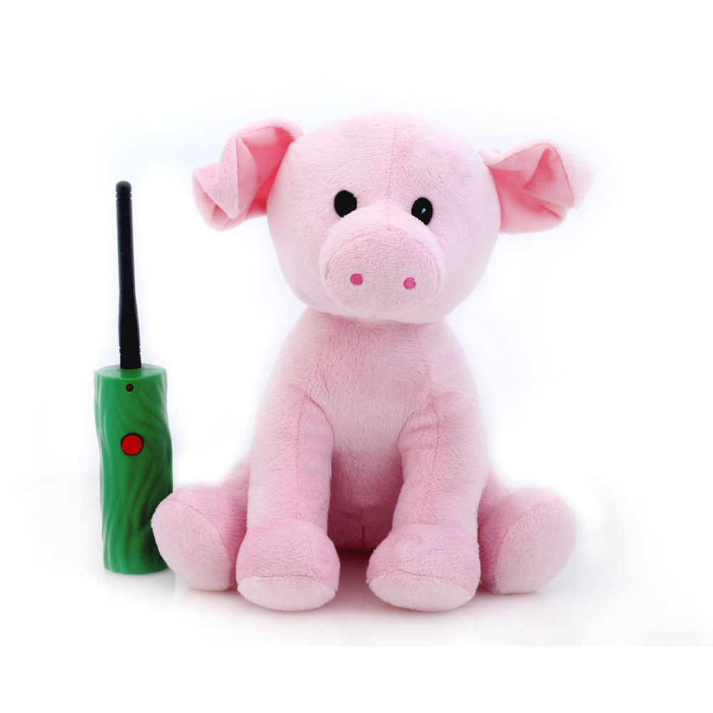 Pink plush pig with black eyes and pink nose sitting next to green interactive remote control device with red button and black antenna