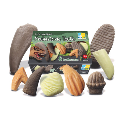Set of 8 textured stone tooth replicas in various shapes and colors, displayed with packaging box labeled 'Let's Investigate Prehistoric Teeth' by Yellow Door