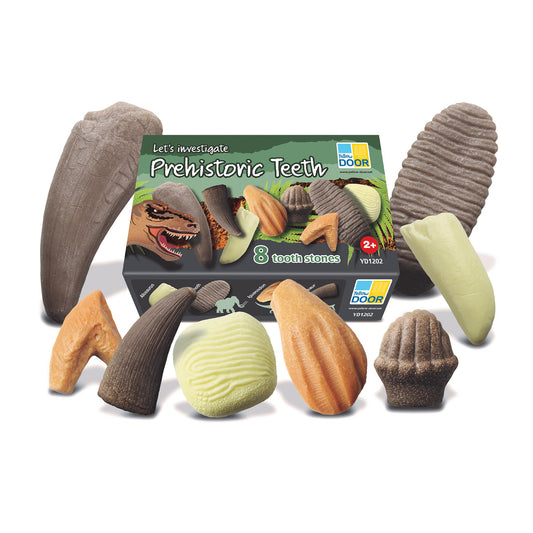 Set of 8 textured stone tooth replicas in various shapes and colors, displayed with packaging box labeled 'Let's Investigate Prehistoric Teeth' by Yellow Door
