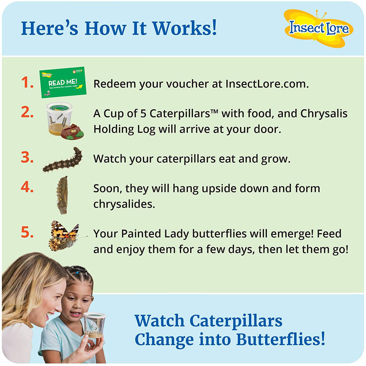 Butterfly Garden Live Habitat Kit with caterpillars, chrysalis log, and painted lady butterflies