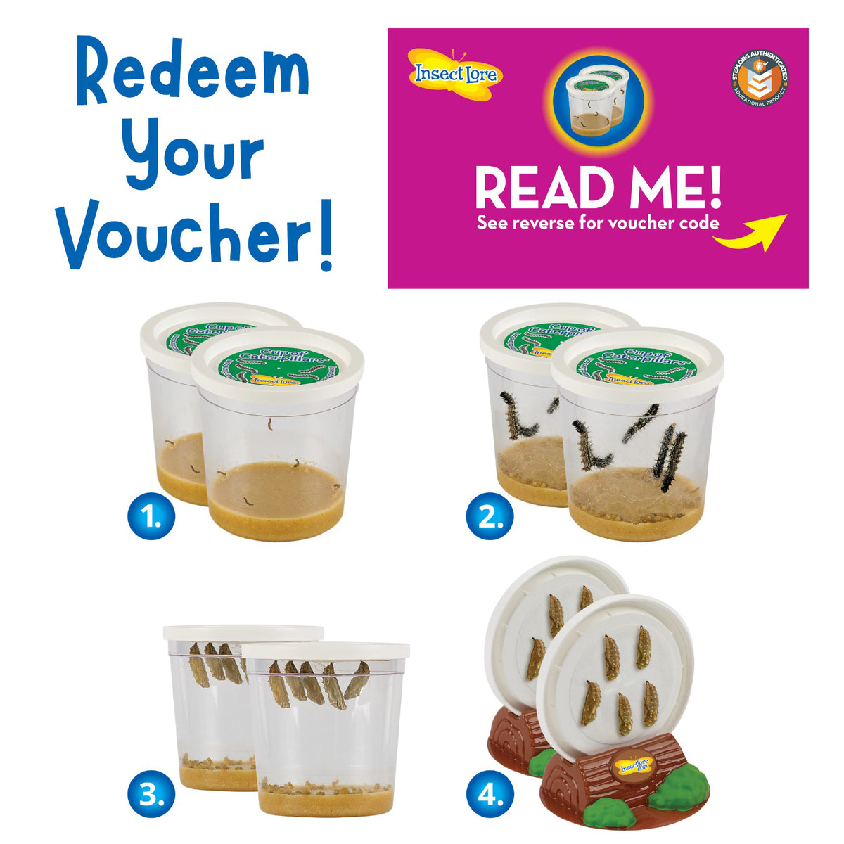 Butterfly Pavilion Habitat Kit showing live caterpillar metamorphosis stages in clear containers