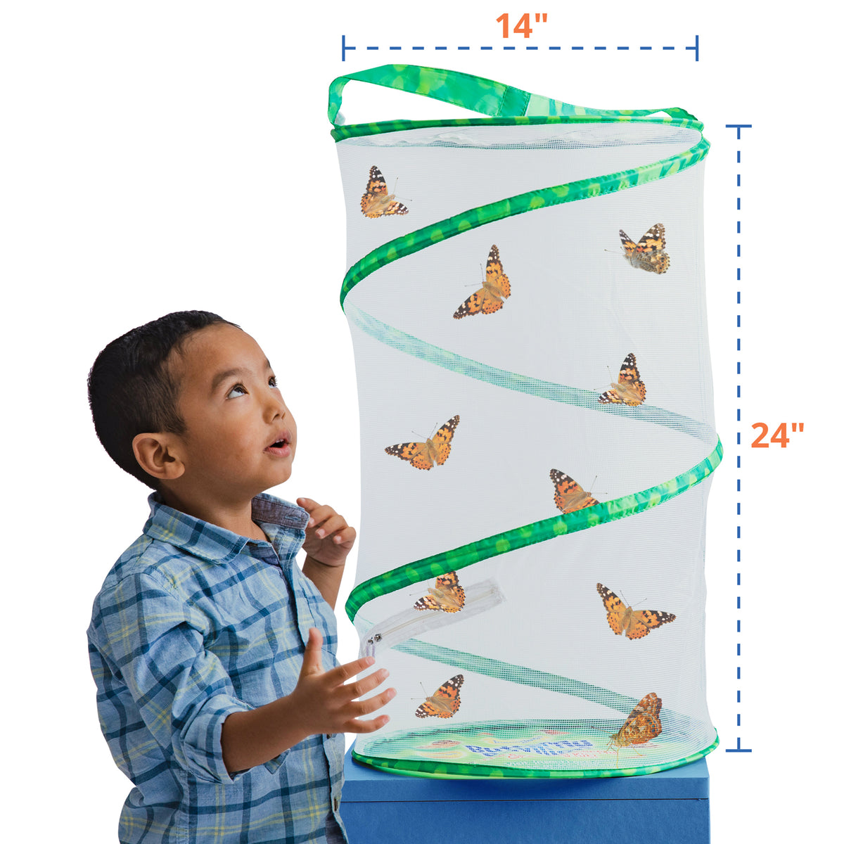 Butterfly Pavilion Habitat Kit with green mesh cylinder and orange butterfly graphics, 24 inches tall