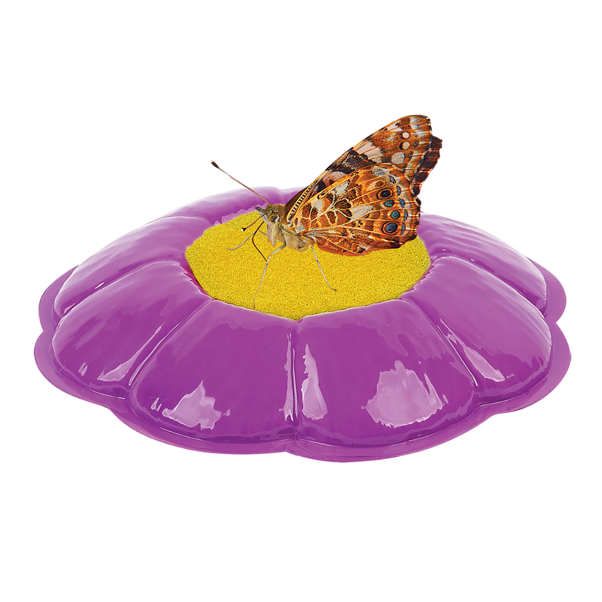 Butterfly Pavilion Habitat Kit with purple flower dome and yellow center, featuring live butterfly