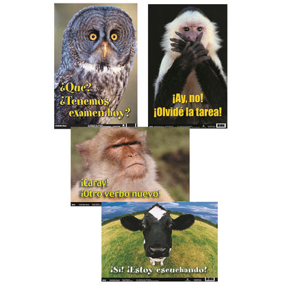 Four educational posters with Spanish language text and animal photos: gray owl, white monkey, brown monkey, and black cow with green field background