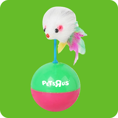 Cat toy