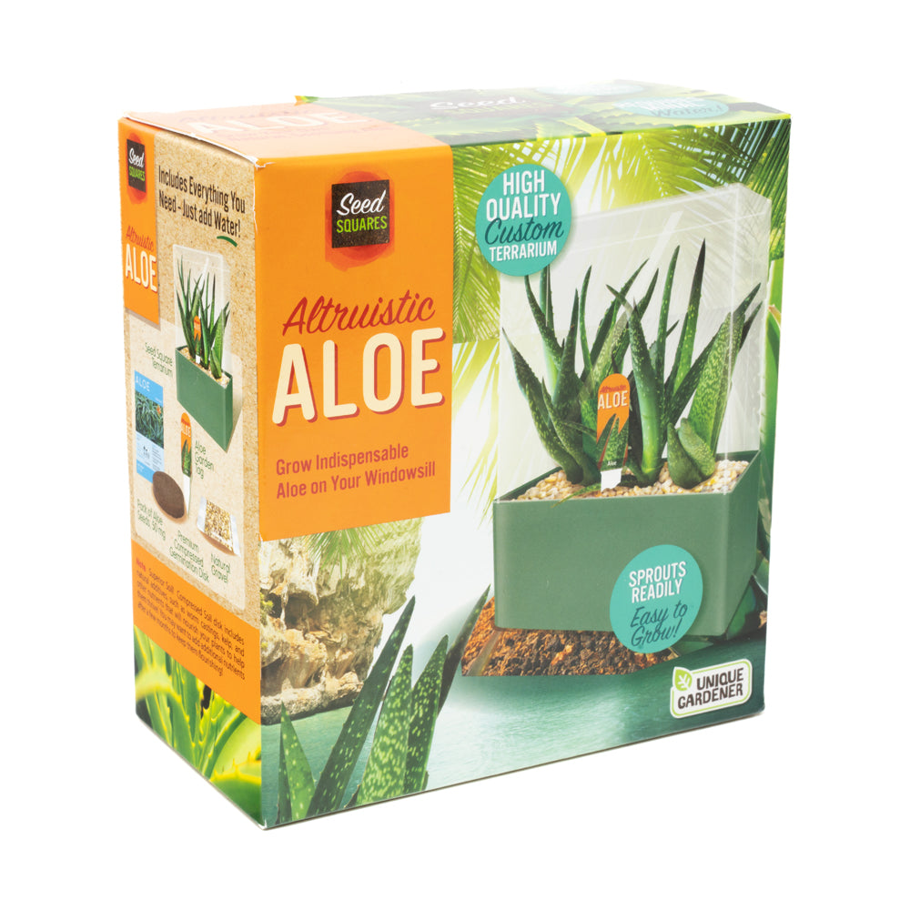 Unique Gardener Altruistic Aloe Seed Square Terrarium Kit