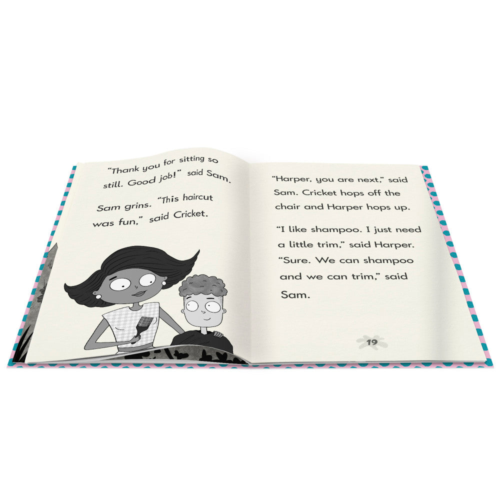 Junior Learning  Cricket the Kid Decodable Chapter Books, Boxed Set