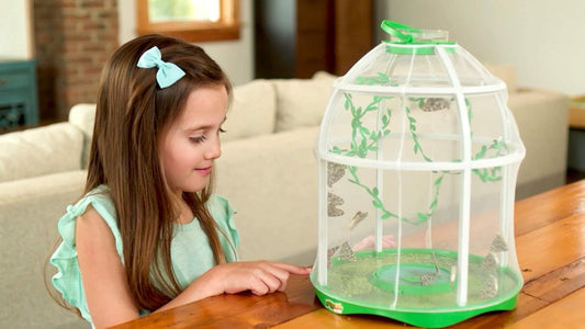 Girl modeled by a child observing insects in clear dome habitat with green base and white frame featuring plant decals