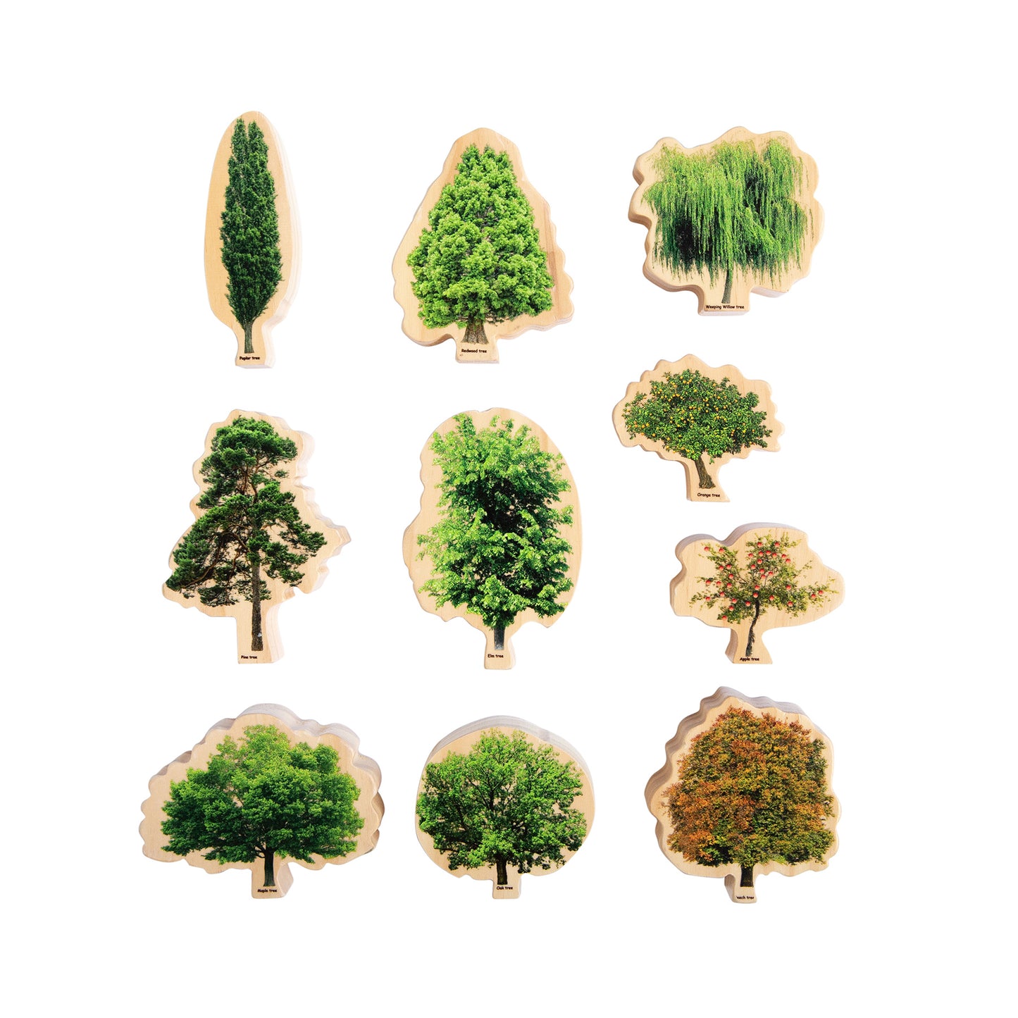 Seasons Wooden Trees set showing nine wooden tree pieces in various shapes and colors, from green spring and summer trees to orange and brown autumn trees