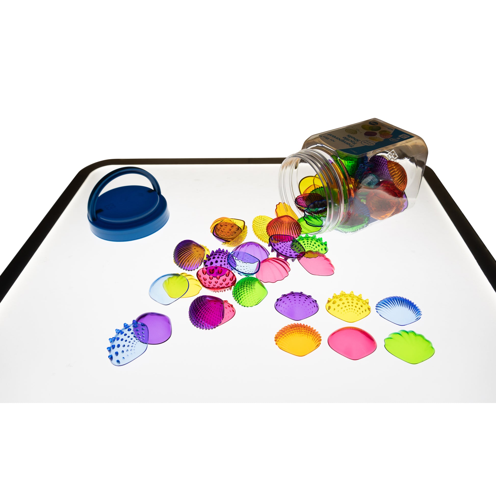 edxeducation Tactile Shells - Transparent - Mini Jar - Set of 72