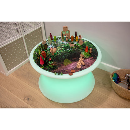 TickiT Forest Discovery Play Mat - Enchanted Woodland Theme
