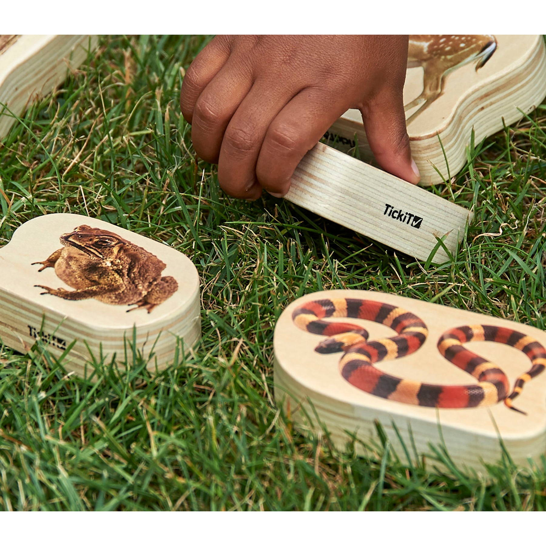 TickiT Wooden Reptile & Amphibian Blocks - 15-Piece Set