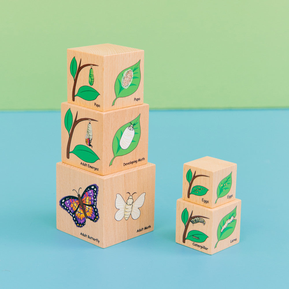 The Freckled Frog Lifecycle Wooden Blocks - Moth, Butterfly, Chicken, Frog Stages