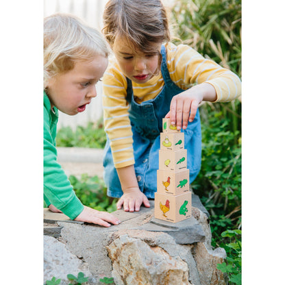 The Freckled Frog Lifecycle Wooden Blocks - Moth, Butterfly, Chicken, Frog Stages