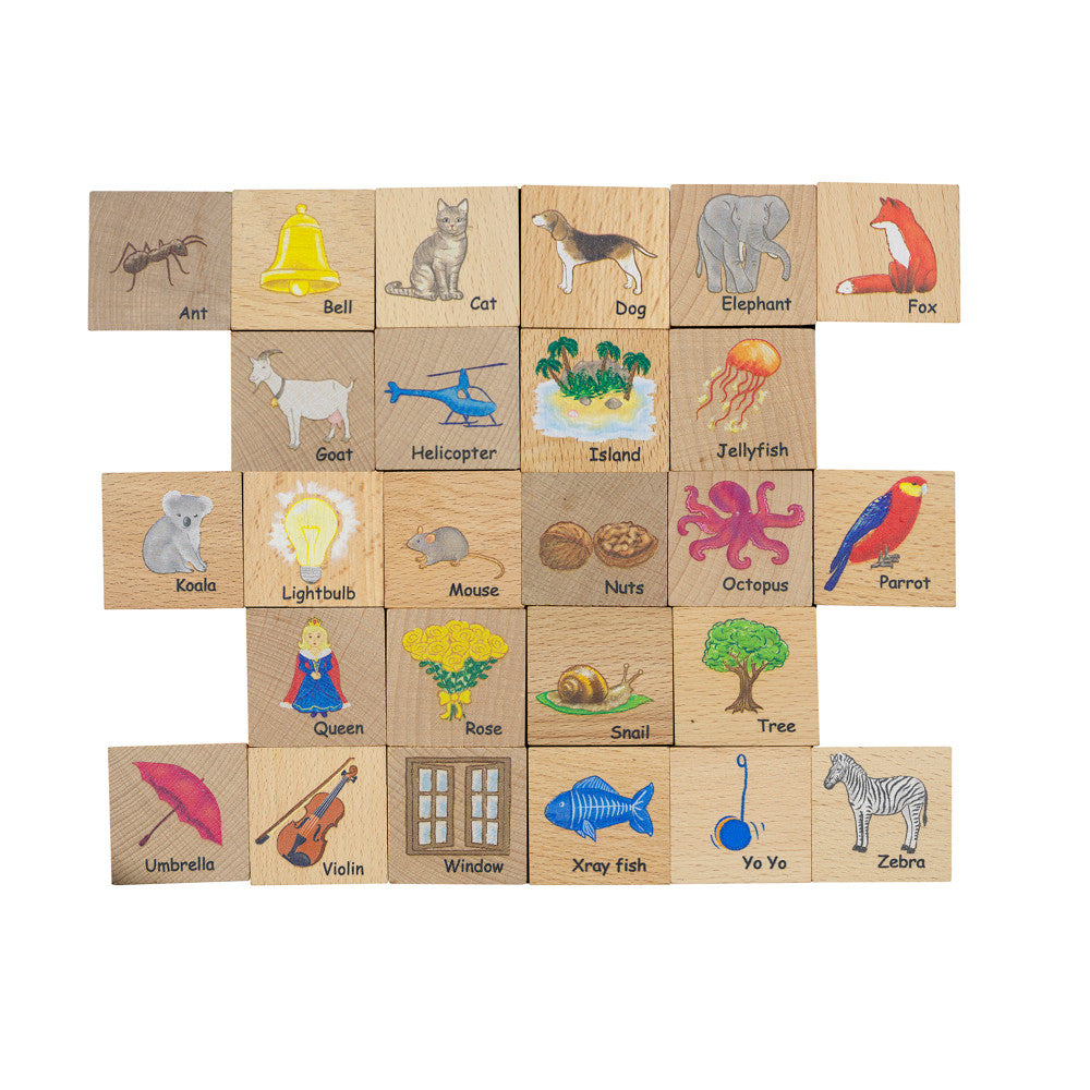 The Freckled Frog Beechwood ABC Blocks – Educational Toy