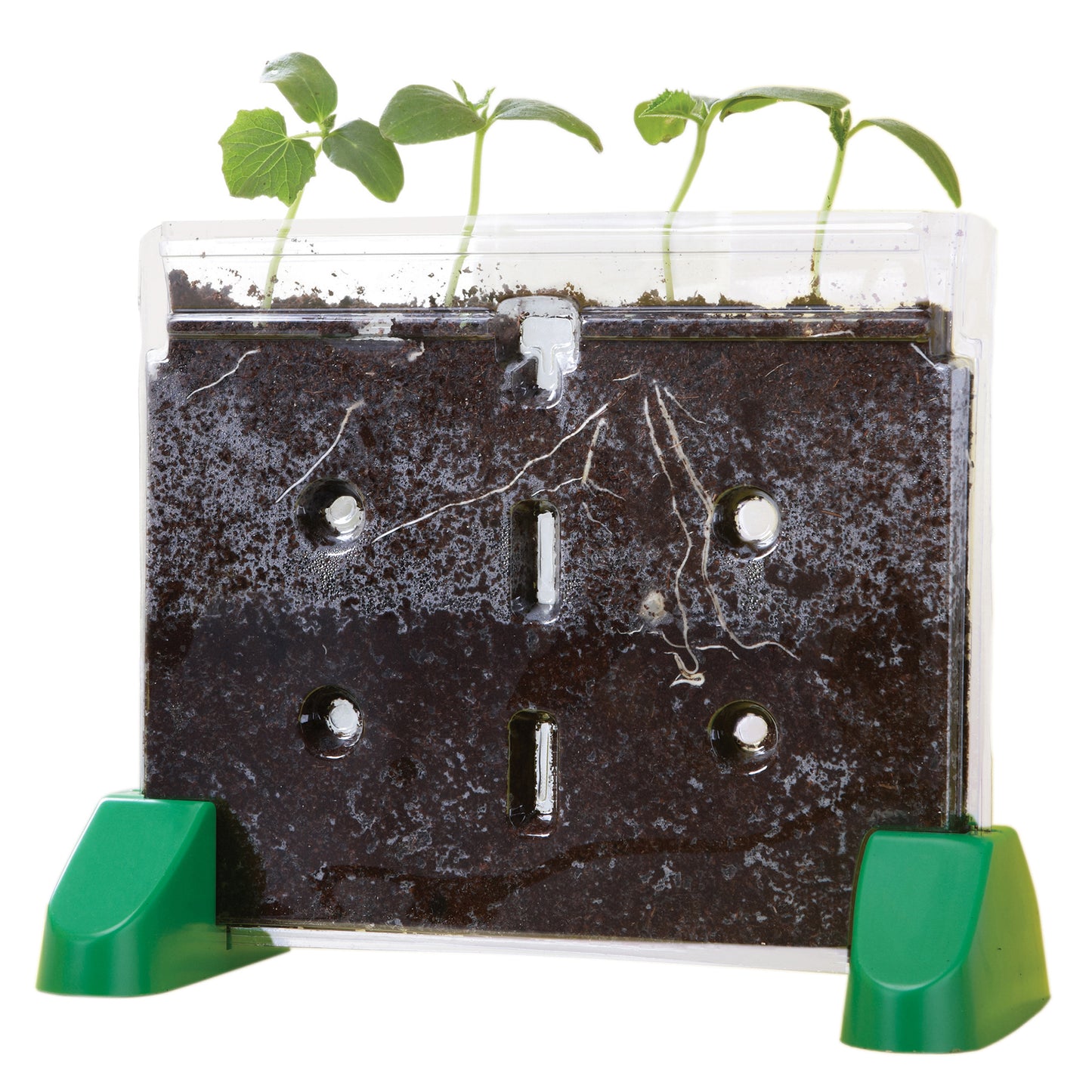 Educational Insights Sprout & Grow Window Plant Science Kit