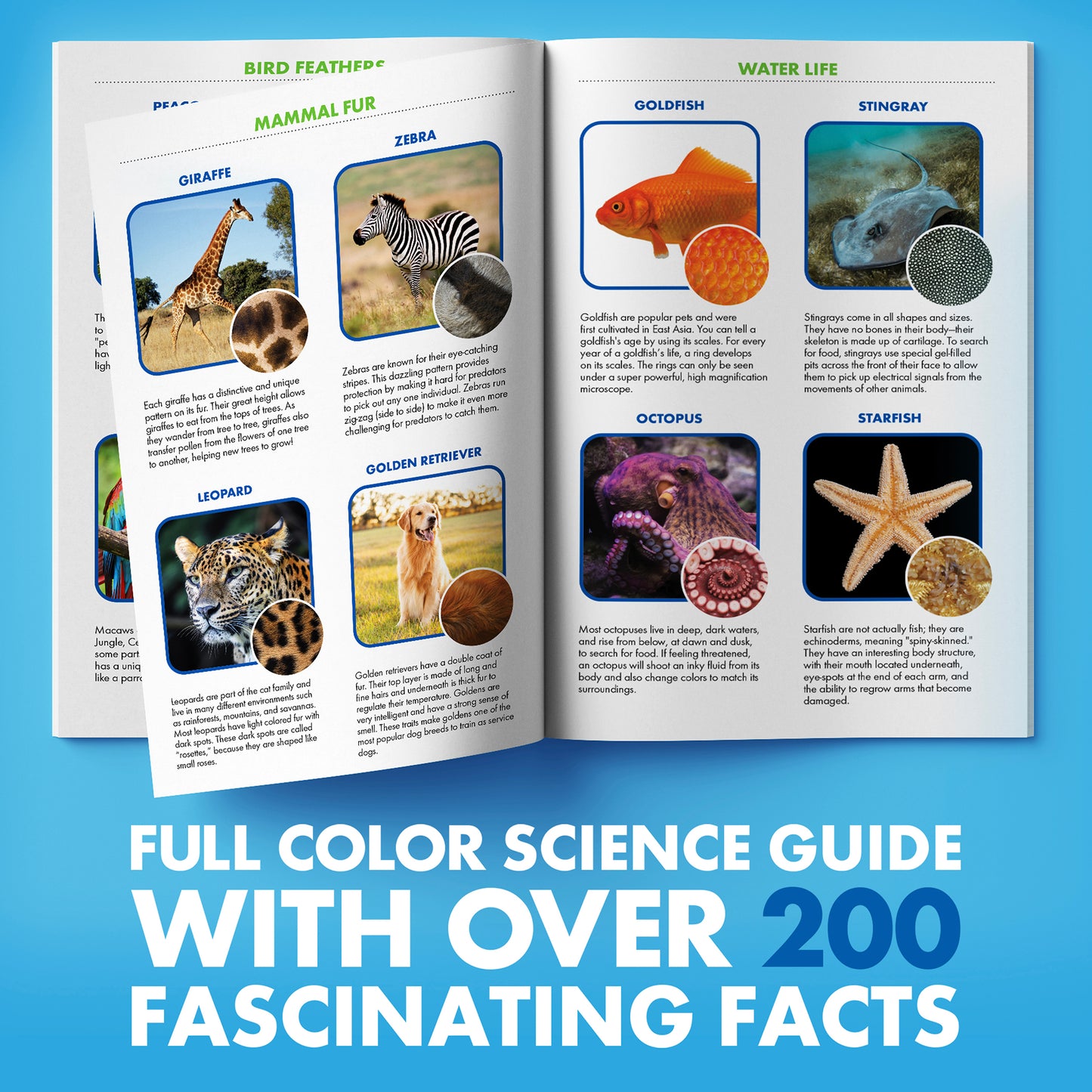Educational Insights GeoSafari® Jr. Kidscope™