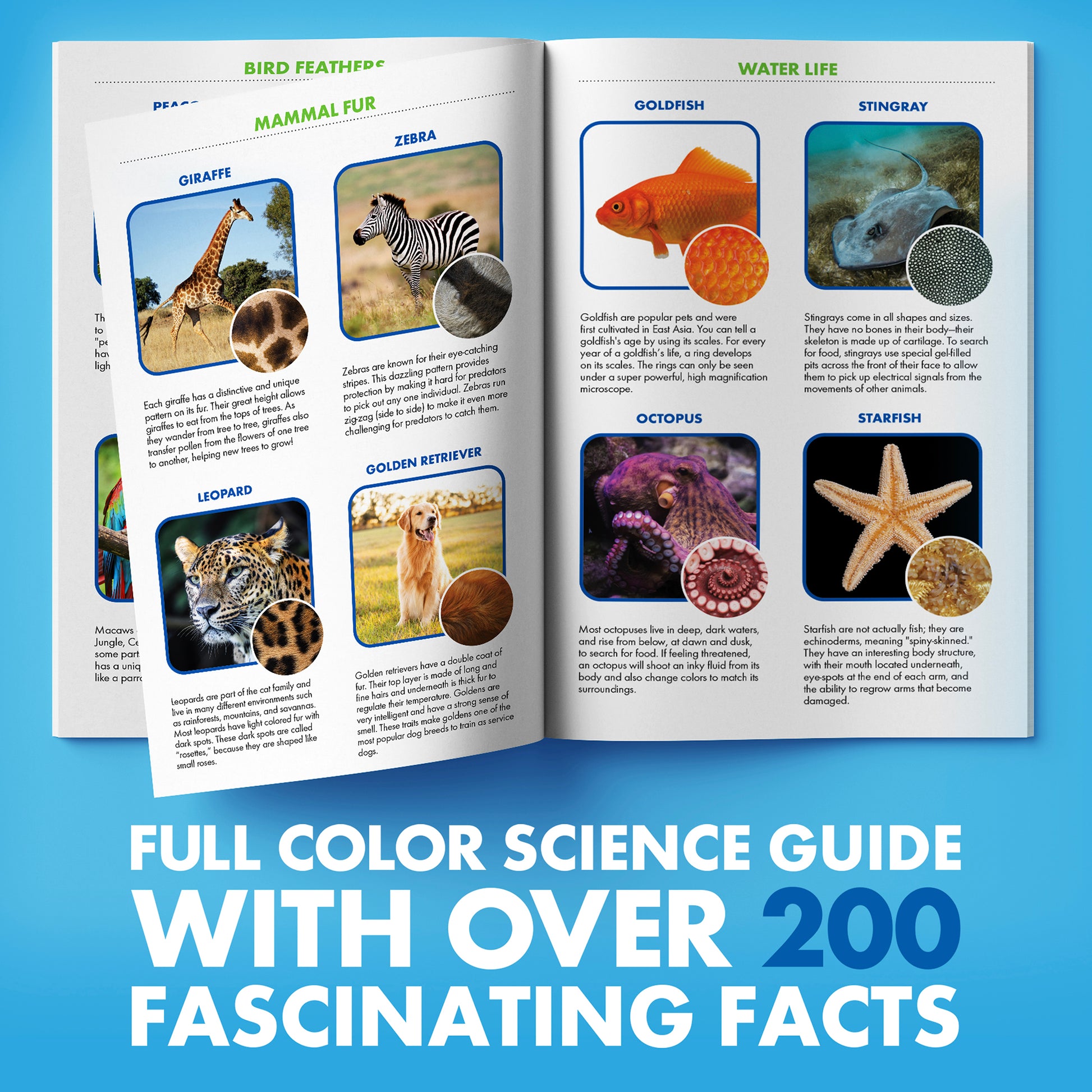 Educational Insights GeoSafari® Jr. Kidscope™