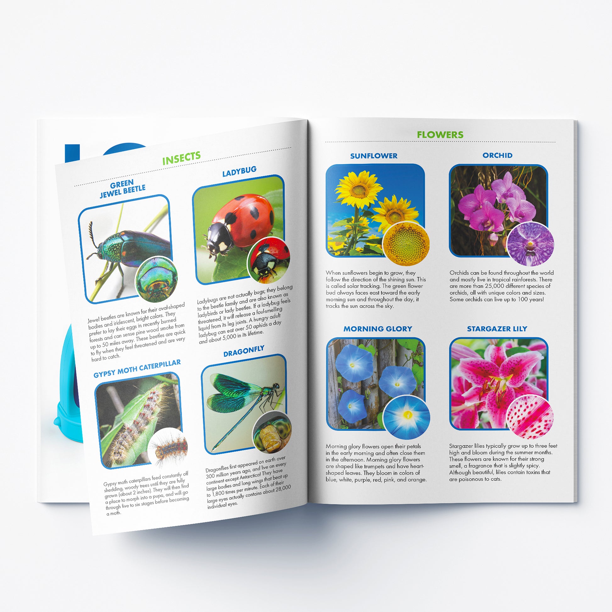 Educational Insights GeoSafari® Jr. Kidscope™