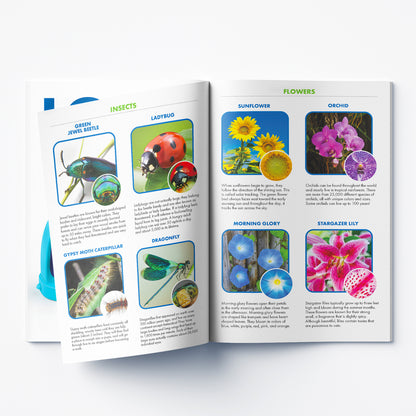 Educational Insights GeoSafari® Jr. Kidscope™