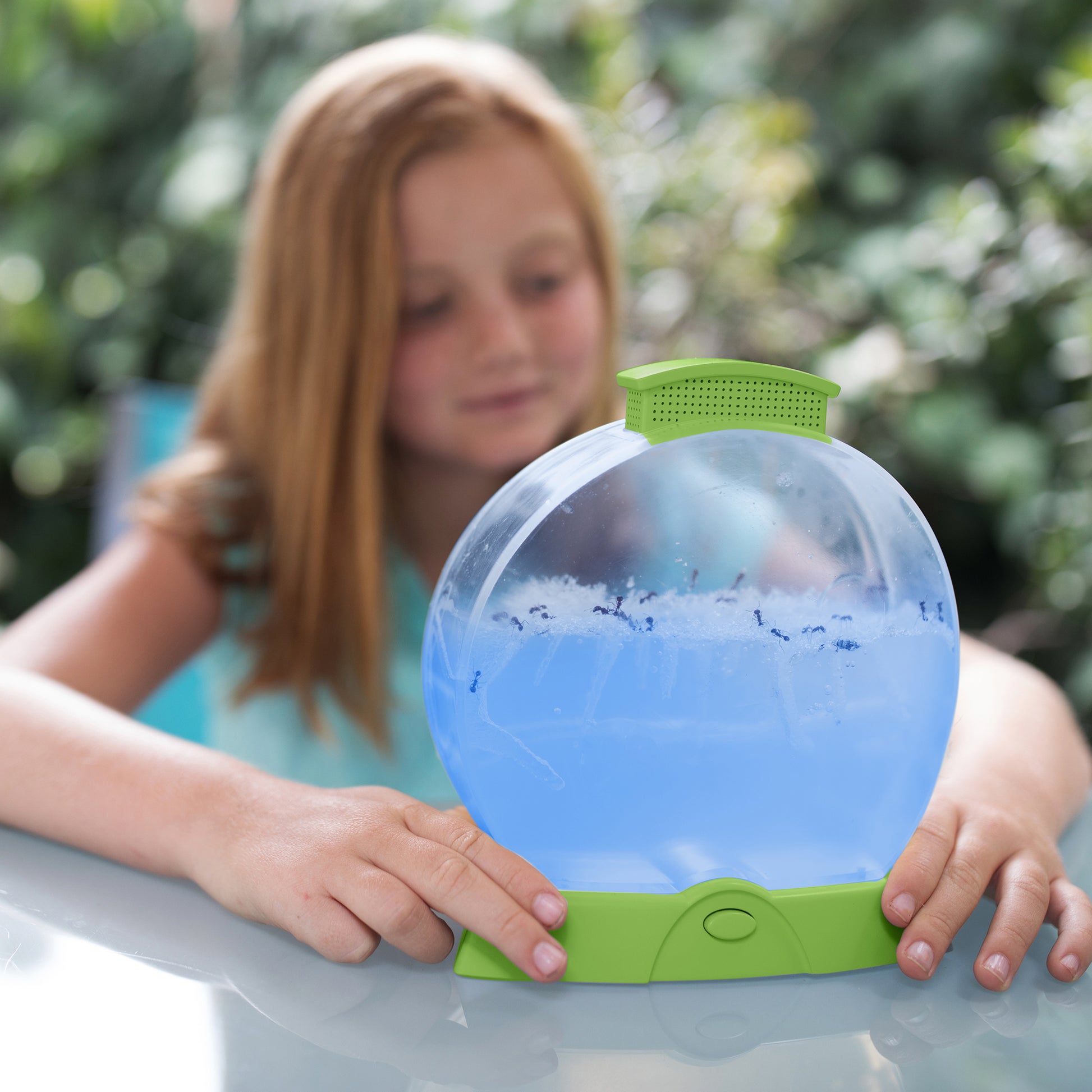 Educational Insights Geosafari® Day 'N' Night Ant Farm