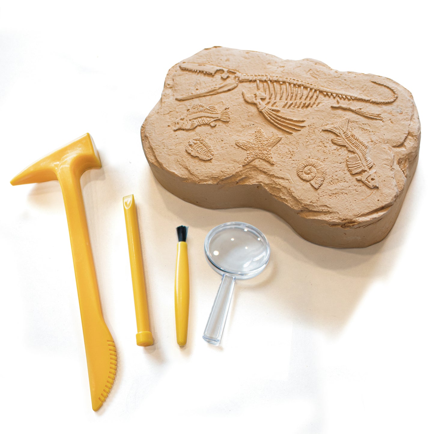 Educational Insights GeoSafari® Jr. Fossil Excavation Kit
