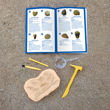 Educational Insights GeoSafari® Jr. Fossil Excavation Kit